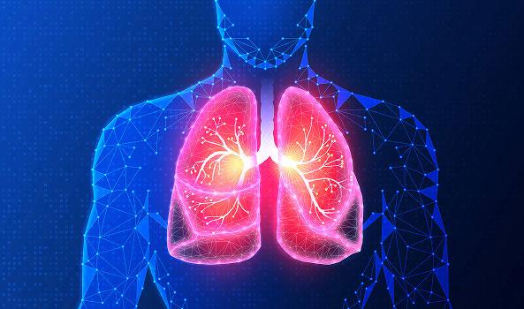 Digital graphic: Abstract blue human torso highlights detailed, glowing red lungs.