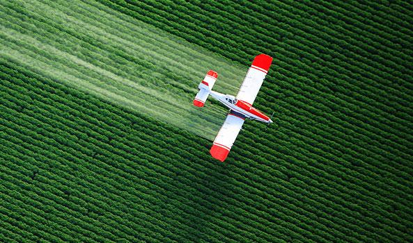 Gray and red plane spraying a wide green crop field.